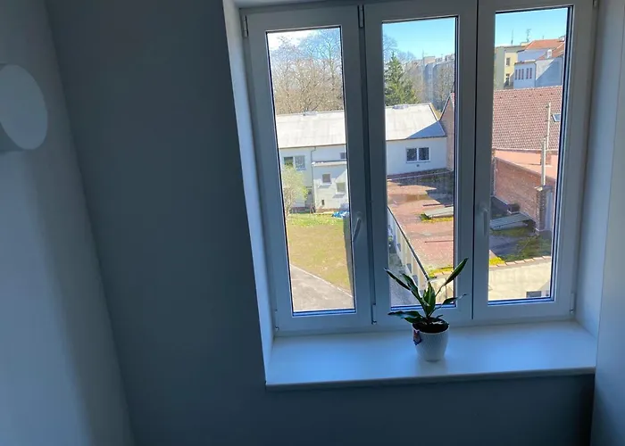 Perla Hradce 101 *